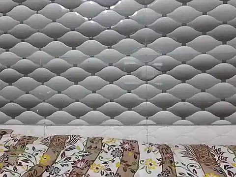 Jashika sharma online show from 02.11.26