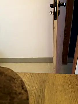 oconnnel online show from 12.14.25