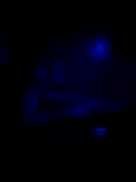 johnboones10 online show from 11.16.25