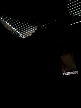 Gustavo1135e online show from 10.13.25