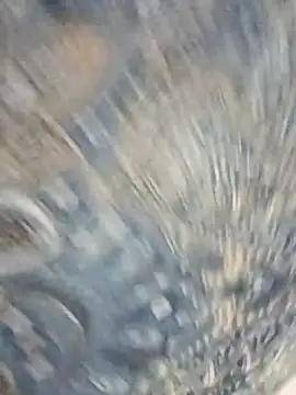 Snapshot of HAANNIAA chatting on 12.02.25 HAANNIAA online show from 12.02.25