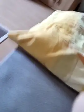 boxerundsocken91 online show from 04.22.26