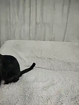 Layla fontainex x online show from 09.29.25