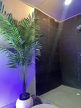 Tayler Kim online show from 04.10.26