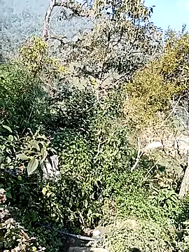 Snapshot of xinhxinhcute chatting on 12.01.25 xinhxinhcute online show from 12.01.25