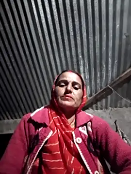 Jalebi bay online show from 11.11.25