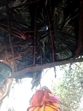 H seema online show from 02.09.26