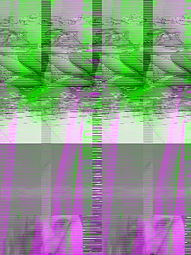 couple2612 online show from 10.07.25