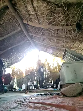 LUCKY cut online show from 09.11.25