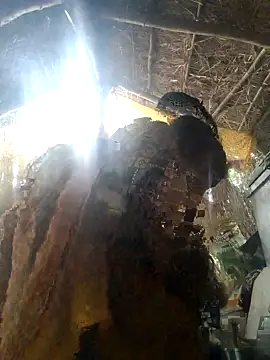 LUCKY cut online show from 11.22.25