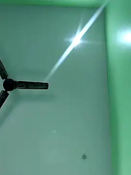 Snapshot of WildPayal chatting on 11.14.25 WildPayal online show from 11.14.25