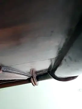 Snapshot of WildPayal chatting on 11.16.25 WildPayal online show from 11.16.25