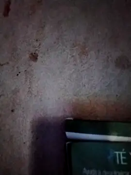  tetas 92 online show from 03.07.26