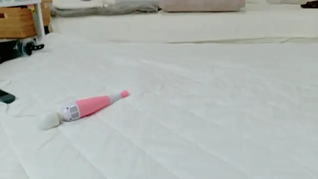 -barbapapa- online show from 03.27.26