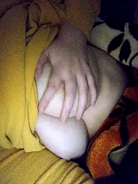 CHahed-5 online show from 12.14.25