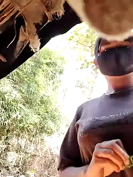 Janvi Jaitly online show from 11.17.25