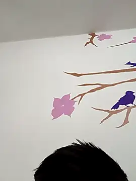 DavidVergagigante420 online show from 12.17.25