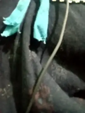 Telugu hot cpl online show from 12.16.25