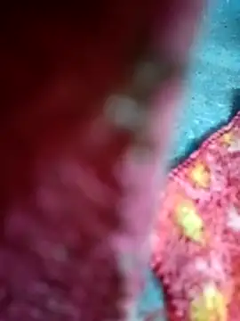 Sharmili xx online show from 09.25.25