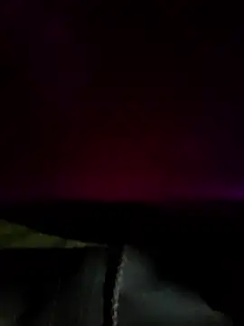 DanteWinter online show from 01.07.26