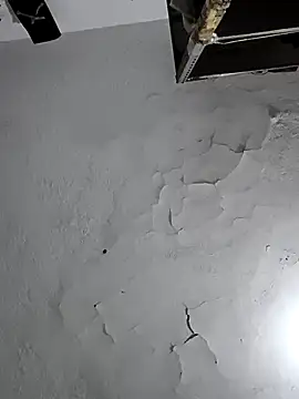 Ferxxxo1503 online show from 02.06.26