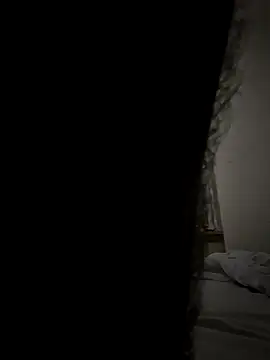 Snapshot of couplelove3 chatting on 11.04.25 couplelove3 online show from 11.04.25