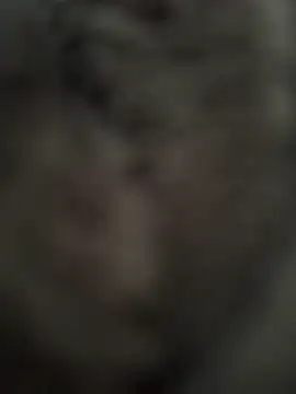 Immerhartundgeil online show from 05.09.26