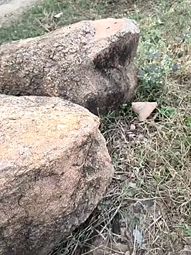 Ag punam online show from 11.16.25