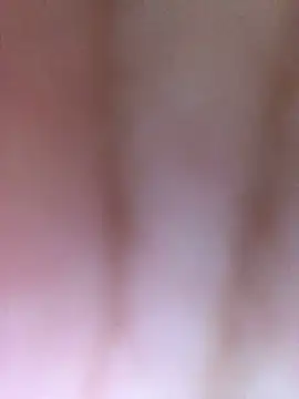 luzmelzinha online show from 04.11.26