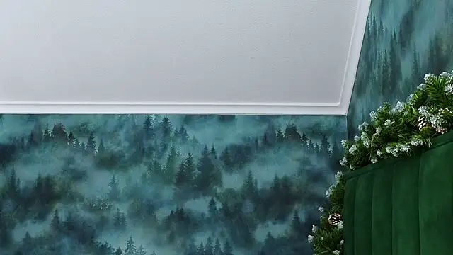 MarkShot  online show from 12.05.25