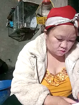 riso-00 online show from 01.15.26