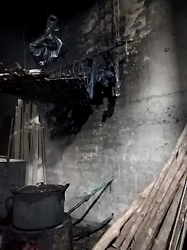 Dung x online show from 03.28.26