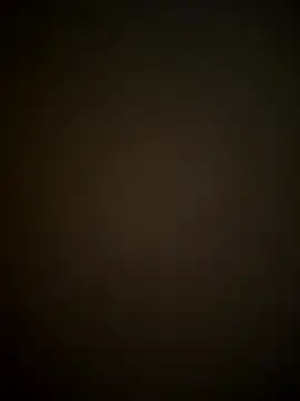 SienaWild online show from 01.11.26