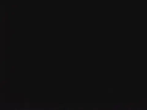 SienaWild online show from 01.13.26