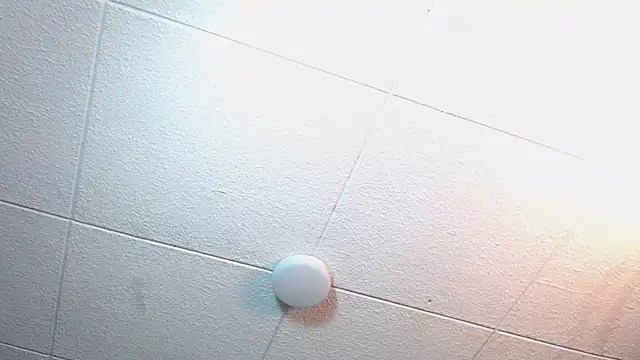 RichardMilleer online show from 11.12.25