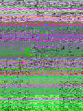 MaddyX   online show from 11.15.25