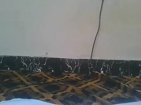 Naughty queen20 online show from 04.13.26