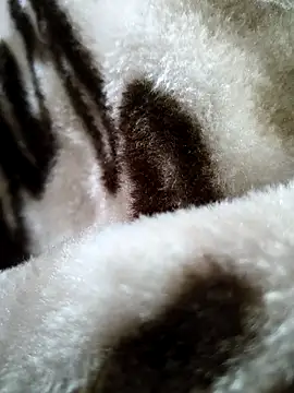 bold guy 1234 online show from 12.17.25