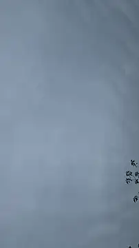 lulu5211 online show from 10.26.25