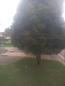 Girl luna  online show from 10.03.25