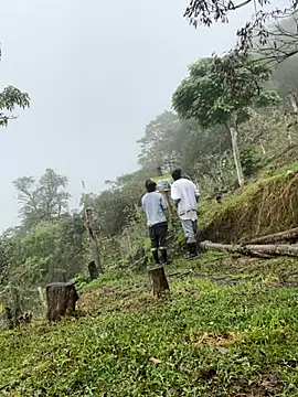 Snapshot of sky-wolves chatting on 10.11.25 sky-wolves online show from 10.11.25