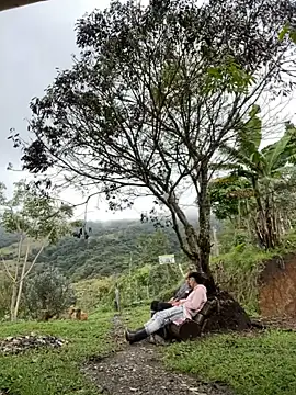 Snapshot of sky-wolves chatting on 10.18.25 sky-wolves online show from 10.18.25