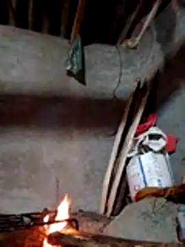 donna-bae online show from 11.18.25