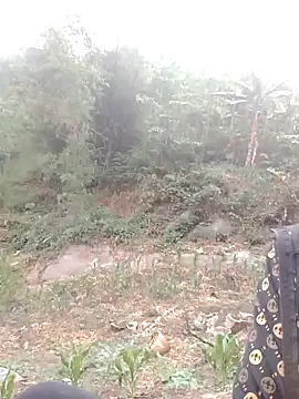 donna-bae online show from 04.12.26