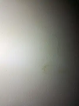 BigD Mikee online show from 12.17.25