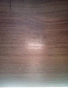 ValeriaLove43211 online show from 12.17.25