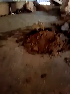 Snapshot of callistra chatting on 01.13.26 callistra online show from 01.13.26