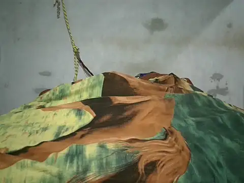 Snapshot of Alcee490 chatting on 10.23.25 Alcee490 online show from 10.23.25