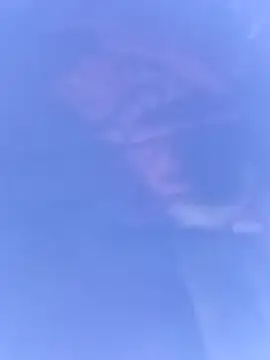 pussybebi online show from 03.16.26