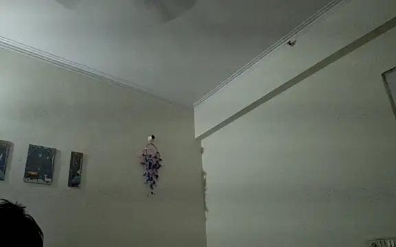 Aasmaan69Aranya online show from 04.01.26